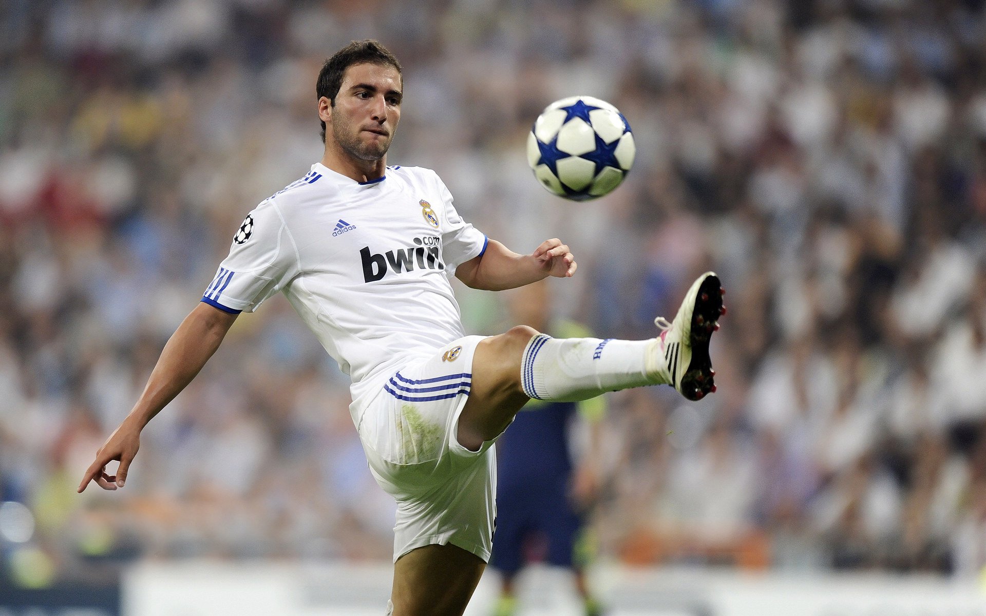 青训中心推广技术测试营标准化选拔优质苗子，青训师认证训练营